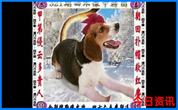 天水旅游景点排名前十